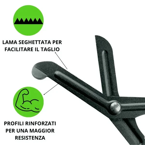 Foto 2 di 3