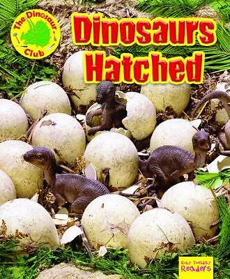 Dinosaurs Hatched! by Ruth Owen (Paperback, 2019)