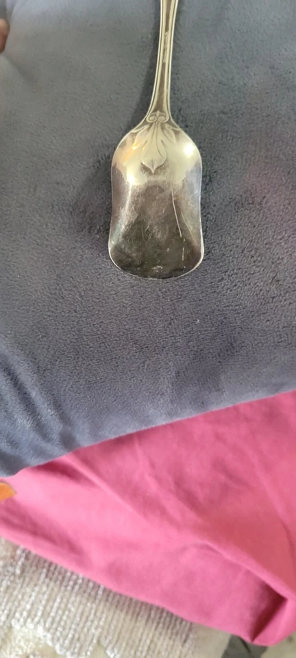 Hall & Elton Tercer Tipo Moneda Plata Jalea Bayas Azúcar Pala Servir Cuchara Foto 3 de 3