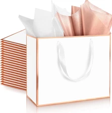 12 Pack 12 Pack Metallic Paper Gift Bag with Handles and Tissue Paper 11.8 x 10 