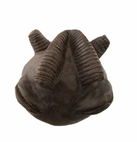 Arts et objets ethniques du XXe siècle et contemporains masques en terre cuite, provenance Afrique
