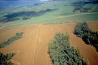 Foto 5 di 24