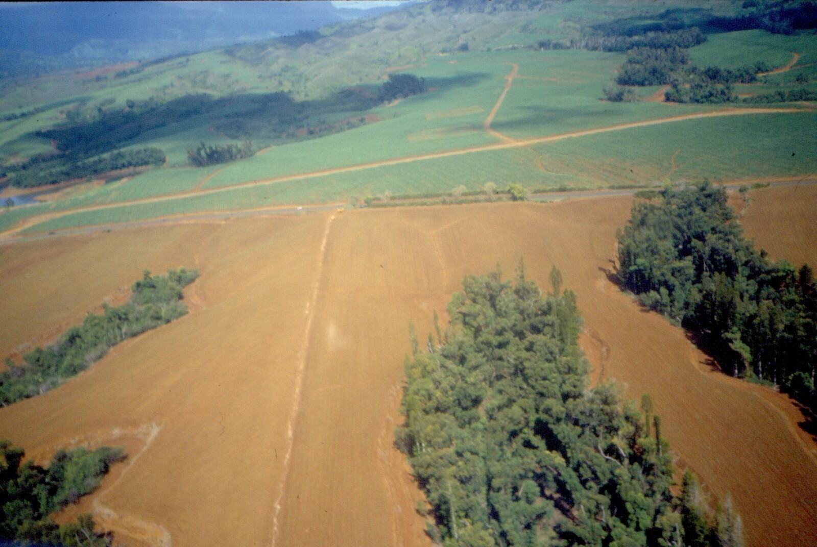 Foto 5 di 24