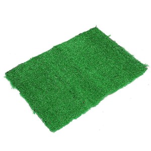 potty turf