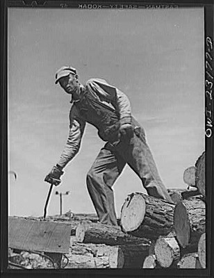 Photo:Lumberjack Man Cutting Logs 1900s Logging Worker Sawing Wood