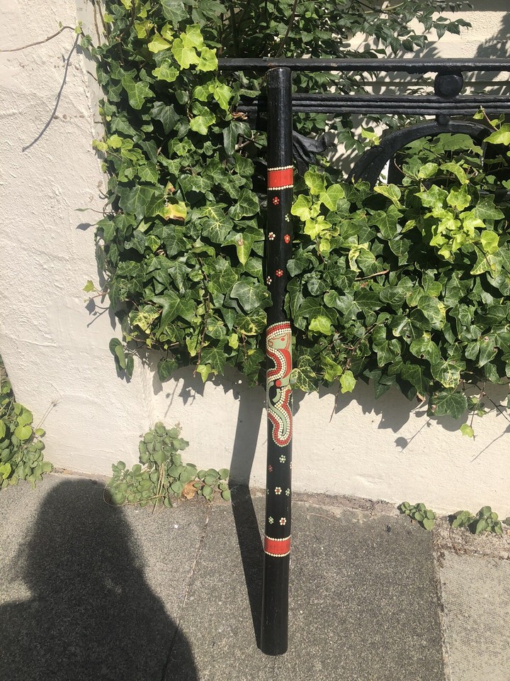 didgeridoo eBay