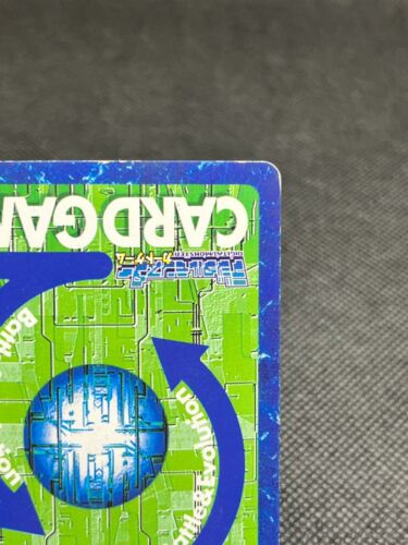 Tarjeta de colección Valkyrimon Digimon lámina japonesa 2001 muy rara Bandai CCG - Imagen 11 de 12