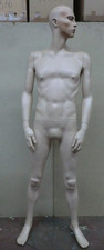 Mannequin Display Dummy Male 11486 Man Doll Rootstein