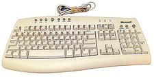 Genuine Microsoft Internet Keyboard Part X08-01157 RT9443 PS/2 Vintage Clicky