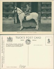 Royal Outride in Scarlet Livery Tucks Royal Mews Buckingham Palace 