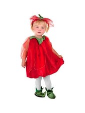 Toddler Strawberry Fairy Costume