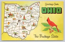 Greetings from Ohio Pictorial State Map Cardinal State Bird 1960 Postcard