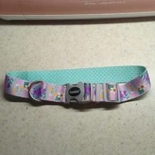 Coastal Pet Dog Collar Sz XL