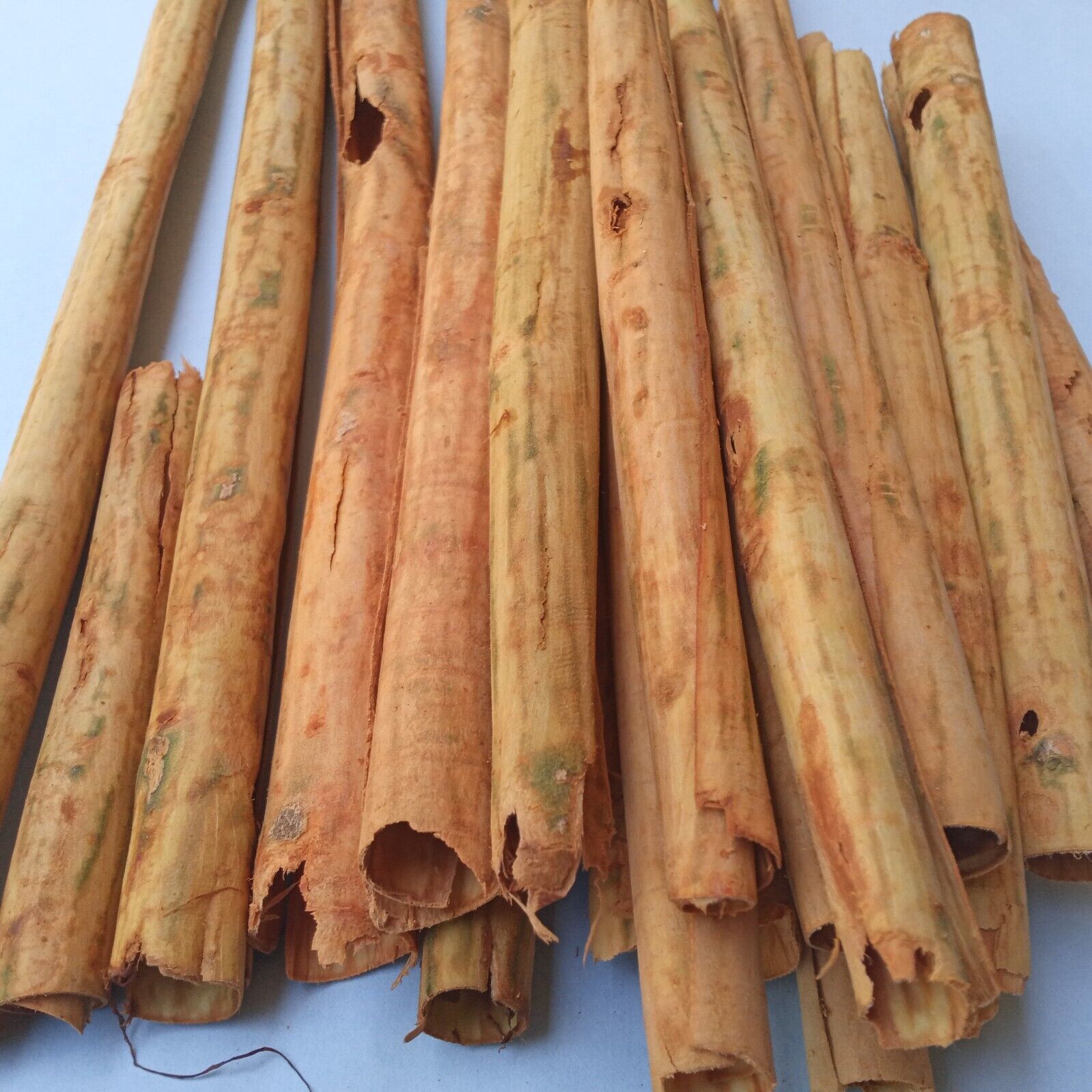 Organic Ceylon Cinnamon (Cinnamomum verum) sticks - 1 oz (28g) – Ayoni  Wellness