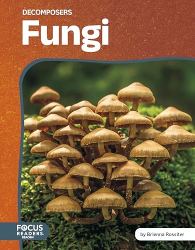 Fungi by Brienna Rossiter (Hardback Book) - Image 4