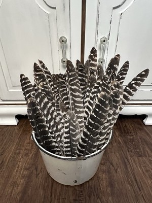 50 -  Turkey Primary Feathers For Arrow Fletching Left Wing