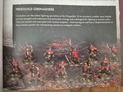 Warhammer Age of Sigmar Cities of Sigmar Freeguild Grenadiers x10 neu