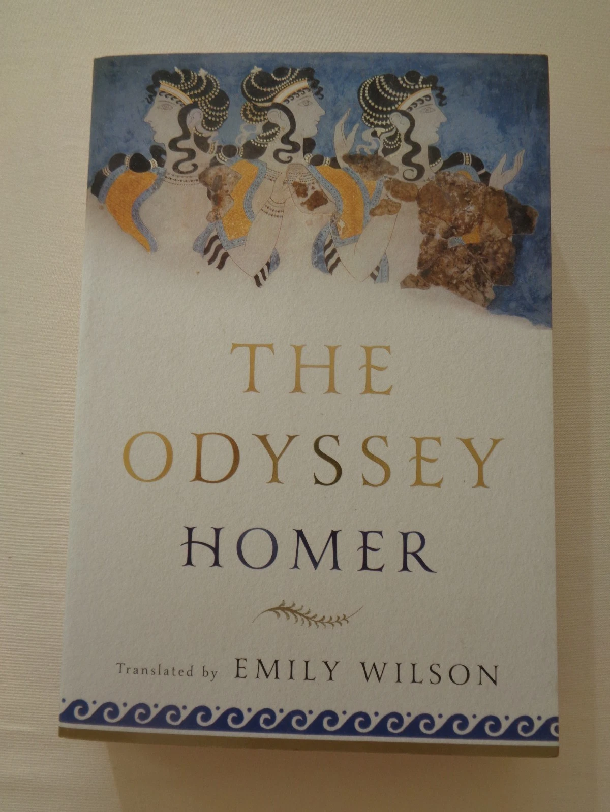 The Odyssey by Homer Translated by Emily Wilson, 2018 Trade PB Like New Norton