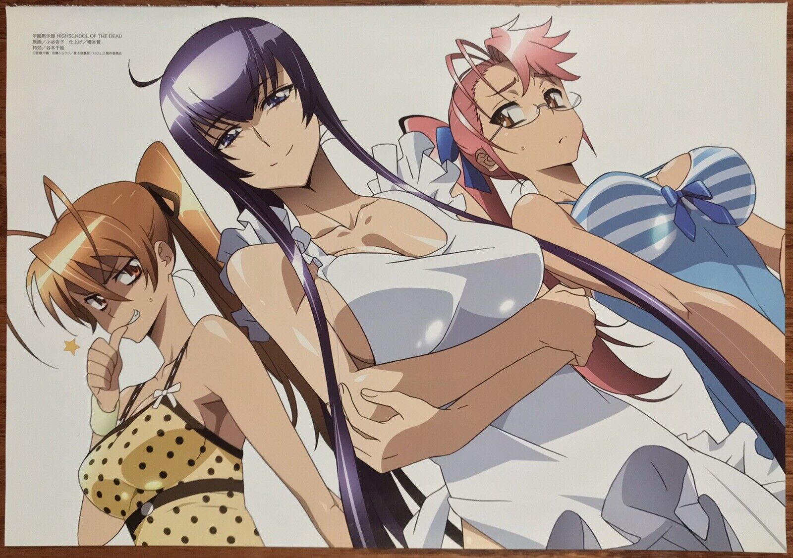 Double Sided Anime Poster: Highschool of the Dead, Samurai Girls