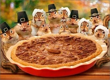 Chipmunks Deliver Pie Funny Thanksgiving Card - Greeting Card by Avanti Press