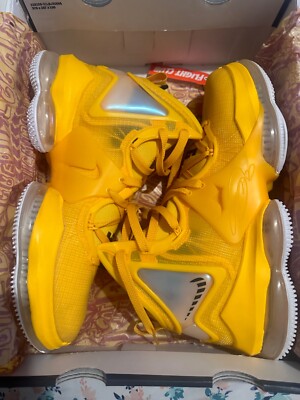 Size 12 - Nike LeBron 19 EP Hard Hat