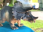 Boley Beautifully Detailed Realistic Triceratops Dinosaur 8" PVC Figure