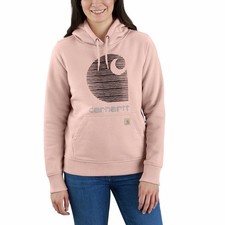 CARHARTT RAIN DEFENDER RELAXED FIT MIDWEIGHT "C" LOGO GRAPHIC SWEATSHIRT small