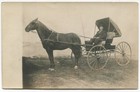 Horse and buggy Cyko real photo postcard.  Undivided back — photo 1