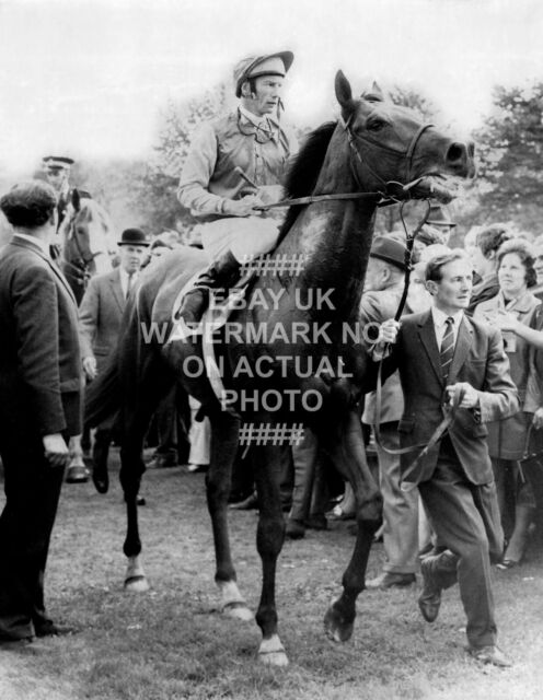 1970 NIJINSKY LESTER PIGGOTT ST LEGER DONCASTER PHOTO PRINT HORSE RACING