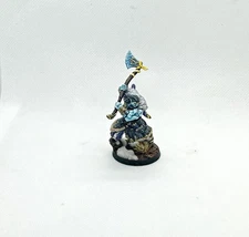 Corvus Belli Warcrow Njord The Merciless painted, based, Magnetized