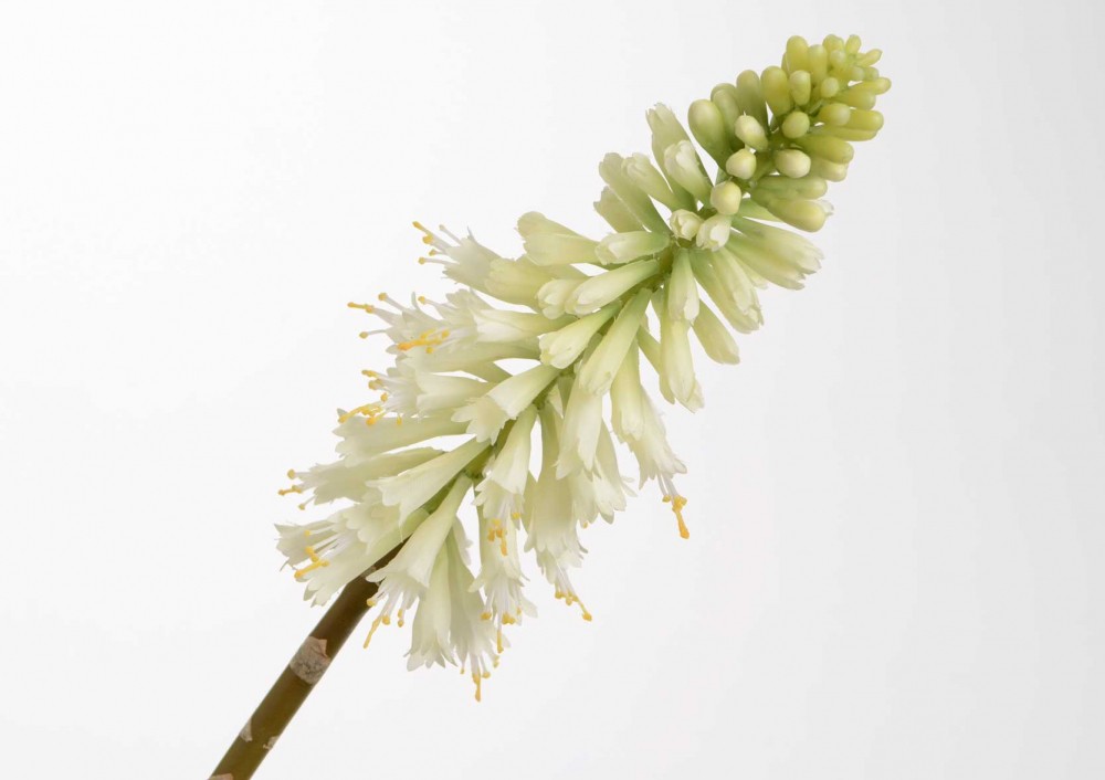 Kniphofia blanc fleur artificielle haut de gamme 71 cm design