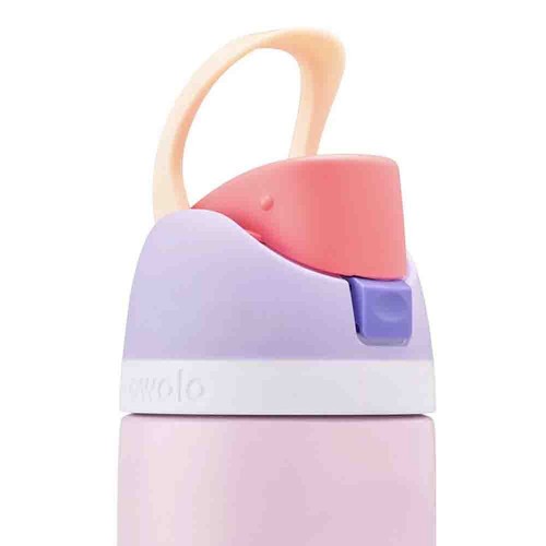 Owala FreeSip 32oz Stainless Steel Water Bottle Pink&purple Vacuum Cup - Picture 7 of 12