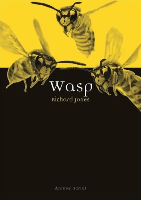 Wasp by Richard Jones PAPERBACK - Image 4