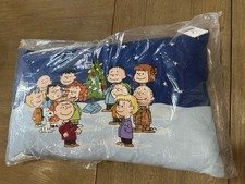 Pottery Barn Peanuts Pillow Christmas Light Up Pillow