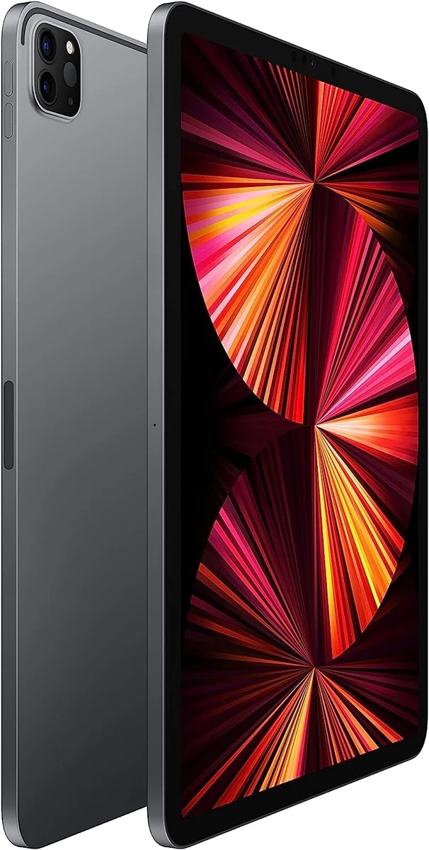 Apple 11-inch iPad Pro (Wi-Fi, 2TB) - Space Gray 2021 194252187517
