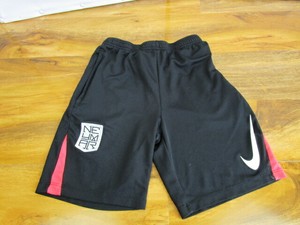 nike dri fit swim shorts