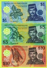 Brunei 1 5 10 Ringgit 1998 2002 2008 P22c P23b P24b UNC - Polymer