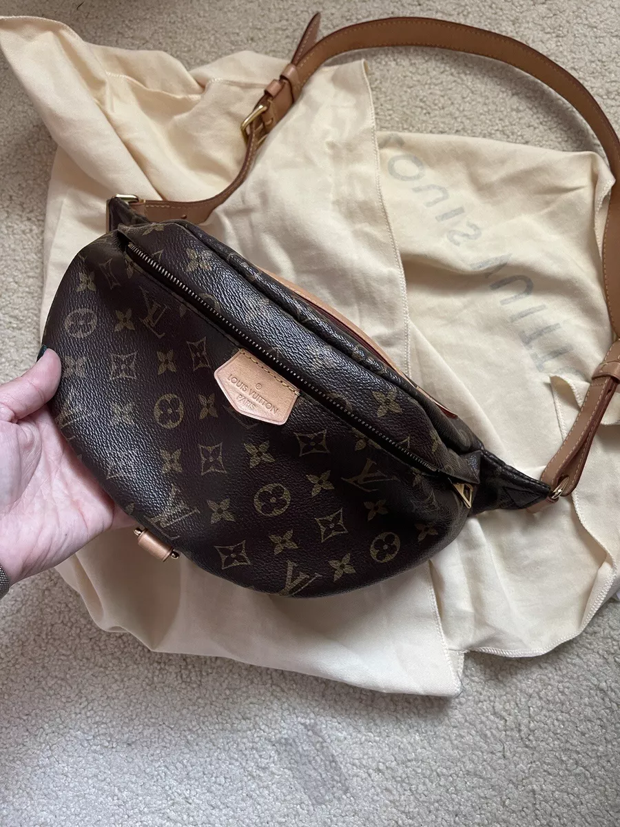 louis vuitton bumbag insert