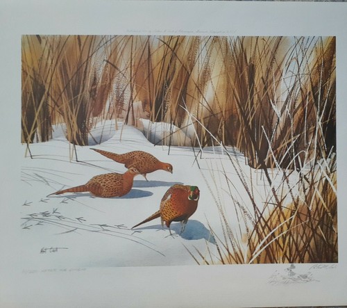 Arthur M Cook 1975 "Dopo la tempesta" Remarque 81/350 - 27" x 21,5" - Foto 2 di 7