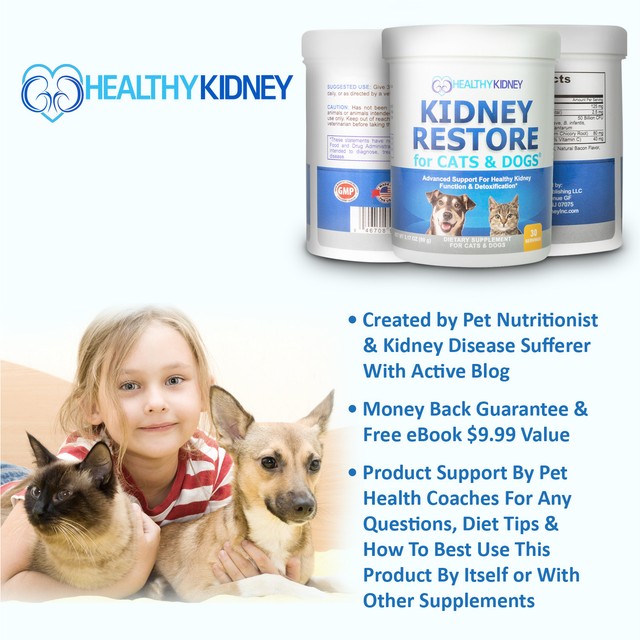Healthy Kidney Support Cats Dogs Probiotic Powder Urinary Track Essential 3 Pack eBay