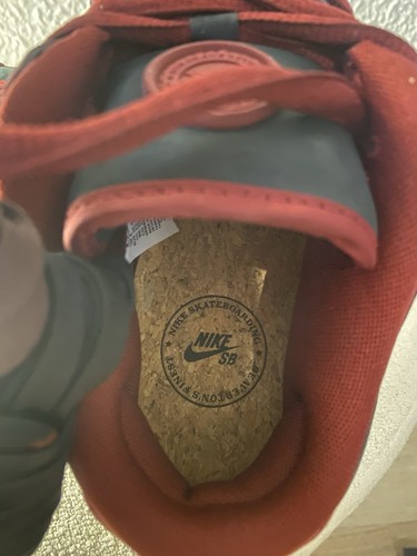 Nike Dunk Riot Special Box - Imagen 11 de 14