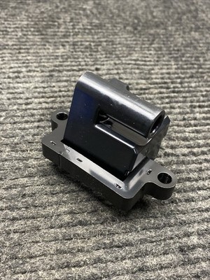 Delphi Gn10298-11b1 Ignition Coil New In Box