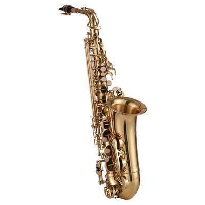 Eb Alto Saxophone Brass Lacquered Gold E Flat Sax 875 Key Type Woodwind Inst SET