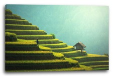 Wandbild Regen-Wald Berg-Hang bewachsen grün Natur Regen