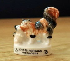 Fava - Gatti Persiani Bicolore (Rif. 7275)