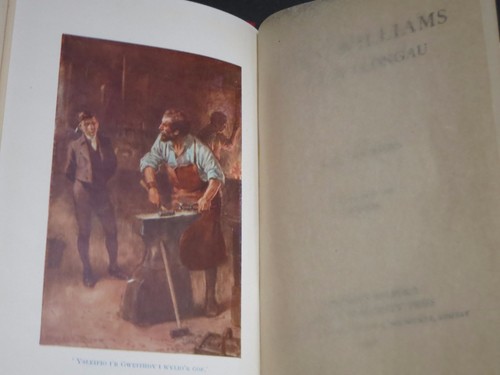 1916 ~JOHN WILLIAMS Y SAER LLONGAU ~ MATHEWS / WELSH /GAELIC/ SOUTH PACIFIC,ILLU - Picture 4 of 12