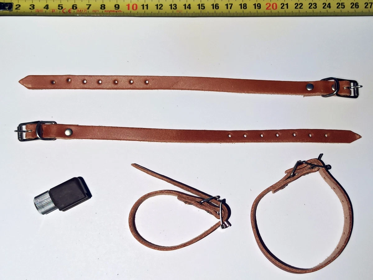 Ferret tracking store collar