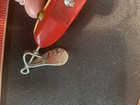 Foto 10 di 10