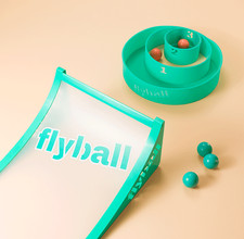 Flyball Lawn and Beach Game