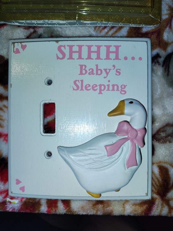 Vintage Goose Light Switch Nursery Cover